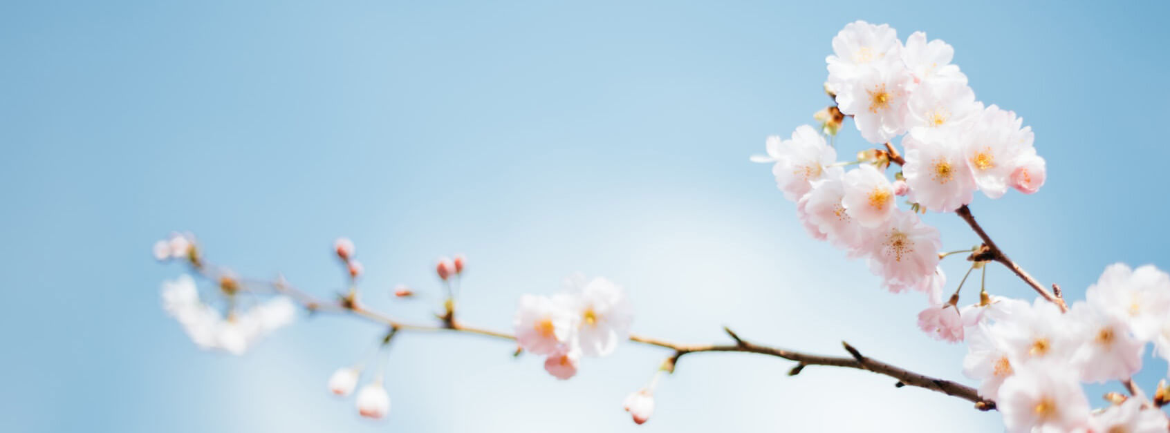 本人纯属虚构